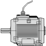 non-ventilated motor with fly leads